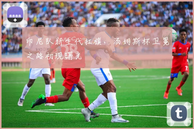 印尼队新生代扛旗,汤姆斯杯卫冕之路初现曙光 - 搜狐体育推荐