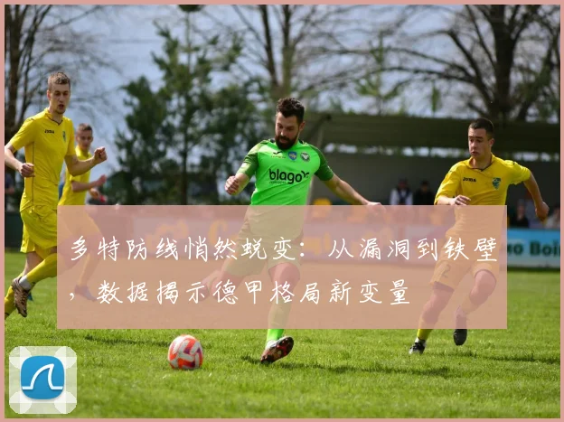 多特防线悄然蜕变:从漏洞到铁壁,数据揭示德甲格局新变量 - 搜狐体育推荐