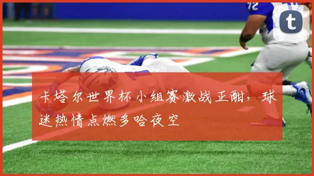 卡塔尔世界杯小组赛激战正酣,球迷热情点燃多哈夜空 - 搜狐体育推荐