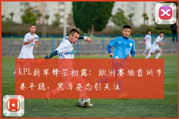 KPL新军锋芒初露:欧洲赛场首训节奏平稳,黑马姿态引关注 - 搜狐体育推荐