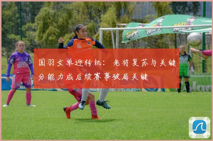 国羽女单迎转机:老将复苏与关键分能力成后续赛事破局关键 - 搜狐体育推荐