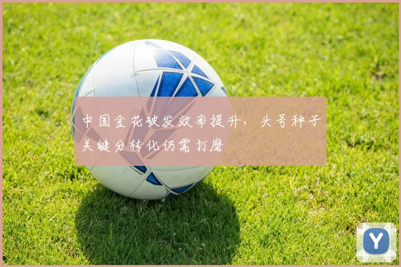 中国金花破发效率提升，头号种子关键分转化仍需打磨 - 搜狐体育图集