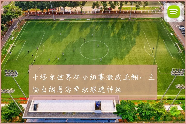 卡塔尔世界杯小组赛激战正酣,主场出线悬念牵动球迷神经 - 搜狐体育推荐