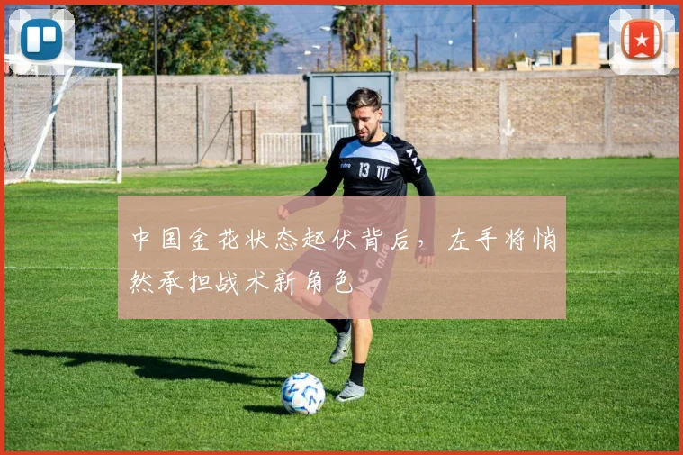 中国金花状态起伏背后,左手将悄然承担战术新角色 - 搜狐体育推荐