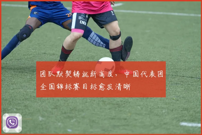 团队默契铸就新高度,中国代表团全国锦标赛目标愈发清晰 - 搜狐体育推荐