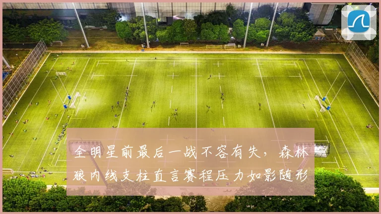 全明星前最后一战不容有失,森林狼内线支柱直言赛程压力如影随形 - 搜狐体育推荐