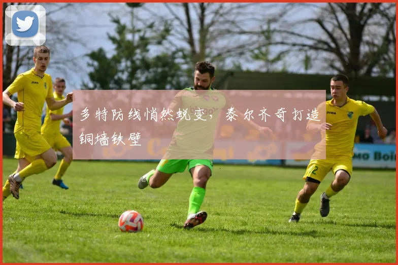 多特防线悄然蜕变,泰尔齐奇打造铜墙铁壁 - 搜狐体育推荐