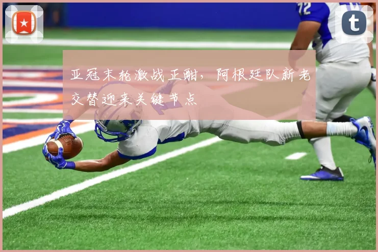 亚冠末轮激战正酣,阿根廷队新老交替迎来关键节点 - 搜狐体育推荐